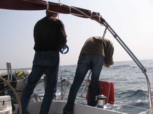 89  -  vissen onderweg  -  2005-03-18