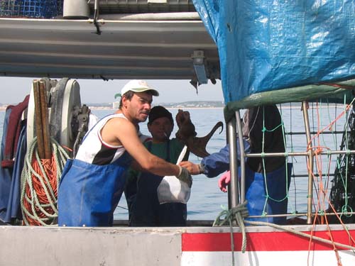09 cadeautje van de vissers 31-03-2005